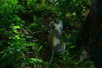 DSC_7875 (Large).JPG